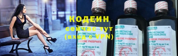 сатива Вяземский