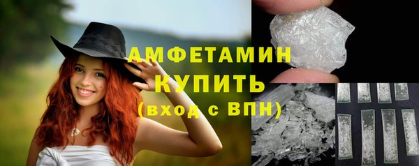 сатива Вяземский