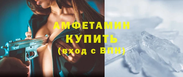 сатива Вяземский