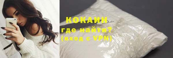 сатива Вяземский