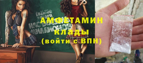 сатива Вяземский