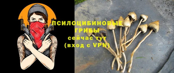 ешки Вязники