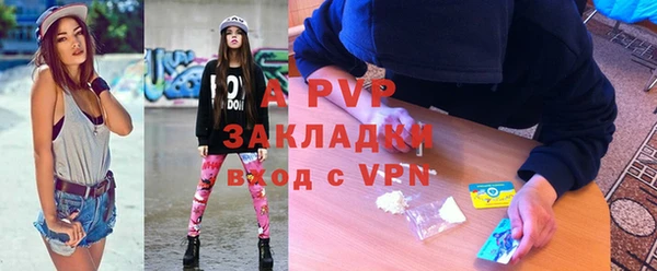 сатива Вяземский