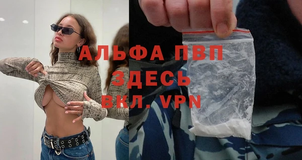 сатива Вяземский