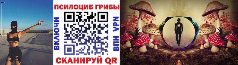 Псилоцибиновые грибы GOLDEN TEACHER  Купить закладки  Купино 